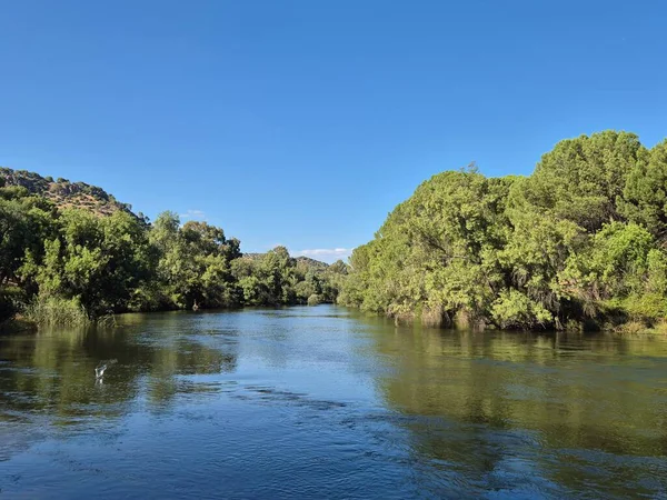 Encinarejo Reservoir ve Jandula Nehri Doğal Alanı, Andujar - 2025
