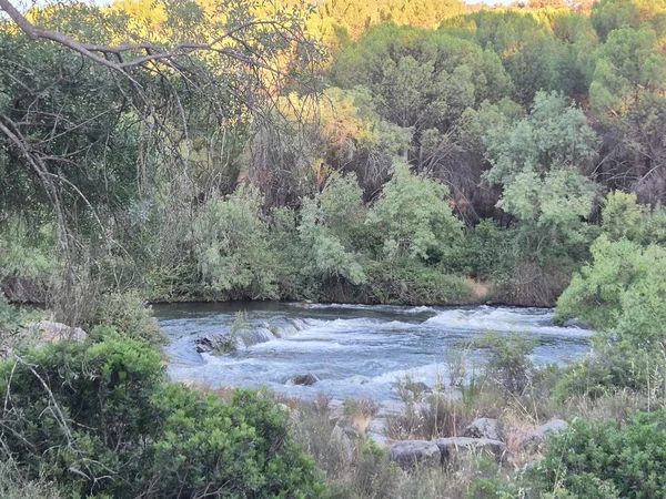 Encinarejo Reservoir ve Jandula Nehri Doğal Alanı, Andujar - 2025