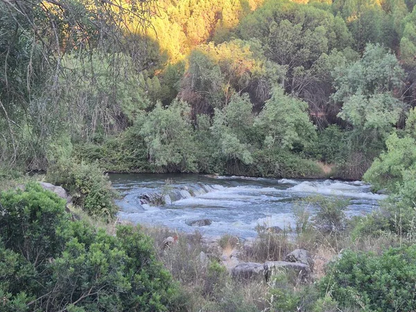 Encinarejo Reservoir ve Jandula Nehri Doğal Alanı, Andujar - 2025
