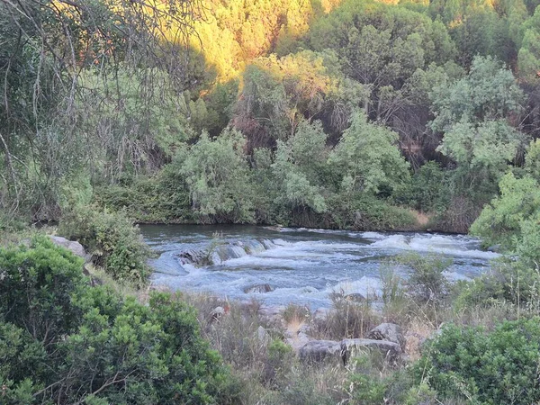 Encinarejo Reservoir ve Jandula Nehri Doğal Alanı, Andujar - 2025