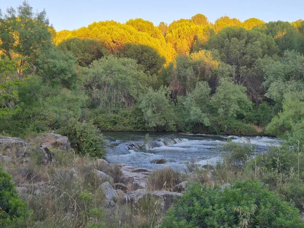 Encinarejo Reservoir ve Jandula Nehri Doğal Alanı, Andujar - 2025