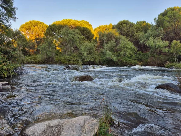 Encinarejo Reservoir ve Jandula Nehri Doğal Alanı, Andujar - 2025