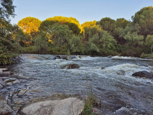 Encinarejo Reservoir ve Jandula Nehri Doğal Alanı, Andujar - 2025