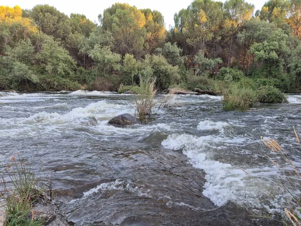 Encinarejo Reservoir ve Jandula Nehri Doğal Alanı, Andujar - 2025