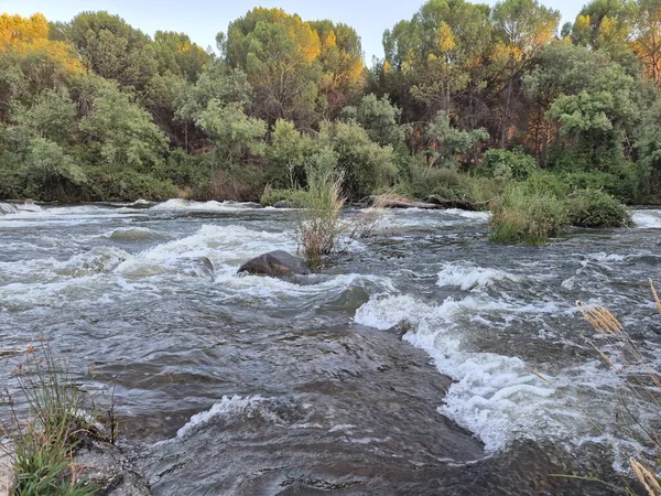 Encinarejo Reservoir ve Jandula Nehri Doğal Alanı, Andujar - 2025