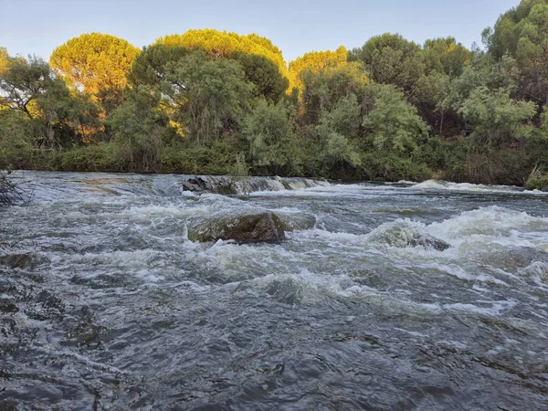 Encinarejo Reservoir ve Jandula Nehri Doğal Alanı, Andujar - 2025