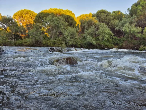 Encinarejo Reservoir ve Jandula Nehri Doğal Alanı, Andujar - 2025