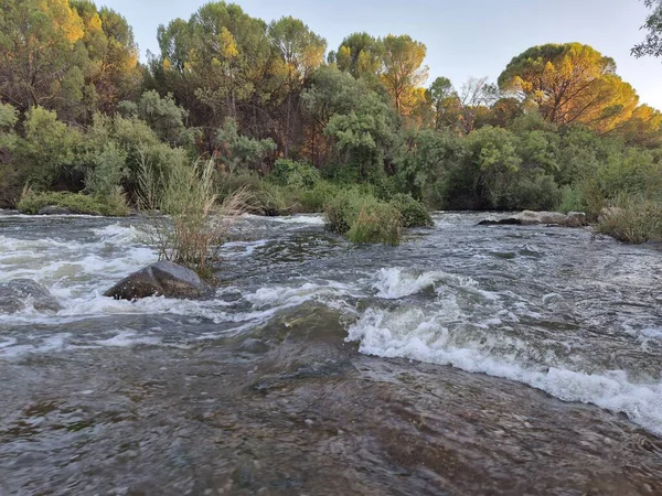 Encinarejo Reservoir ve Jandula Nehri Doğal Alanı, Andujar - 2025