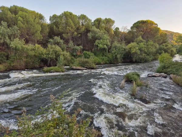 Encinarejo Reservoir ve Jandula Nehri Doğal Alanı, Andujar - 2025