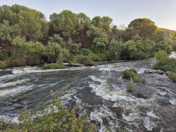 Encinarejo Reservoir ve Jandula Nehri Doğal Alanı, Andujar - 2025