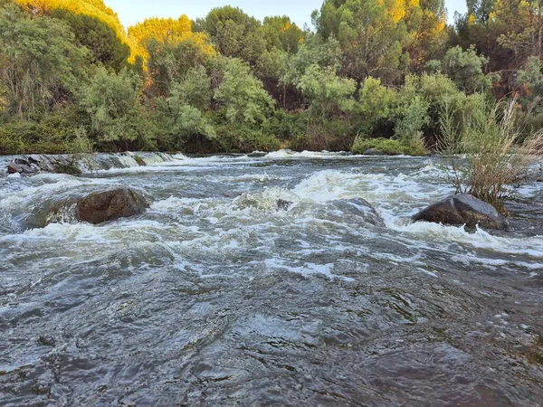 Encinarejo Reservoir ve Jandula Nehri Doğal Alanı, Andujar - 2025