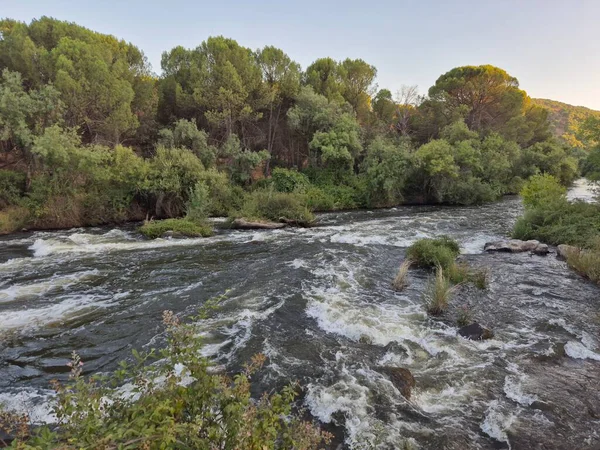 Encinarejo Reservoir ve Jandula Nehri Doğal Alanı, Andujar - 2025