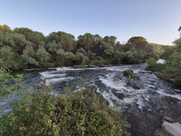 Encinarejo Reservoir ve Jandula Nehri Doğal Alanı, Andujar - 2025