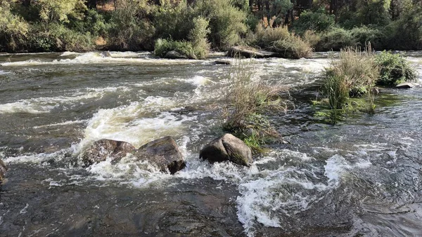 Jandula Nehri Doğal Alanı, Andujar - 2025