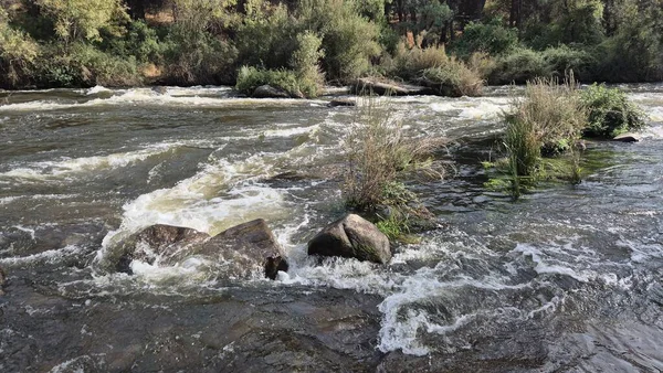 Jandula Nehri Doğal Alanı, Andujar - 2025