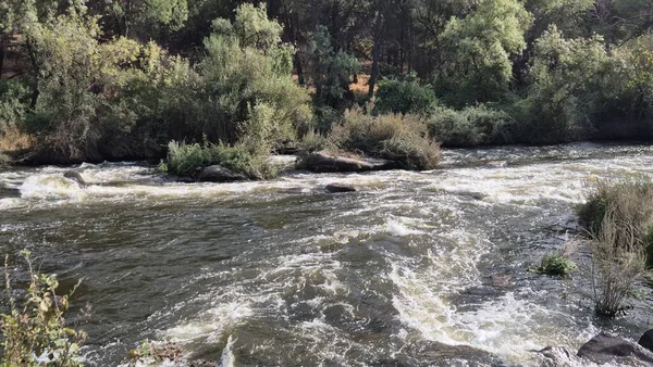 Jandula Nehri Doğal Alanı, Andujar - 2025