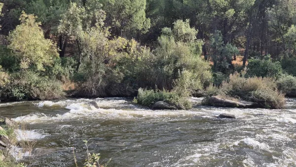 Jandula Nehri Doğal Alanı, Andujar - 2025