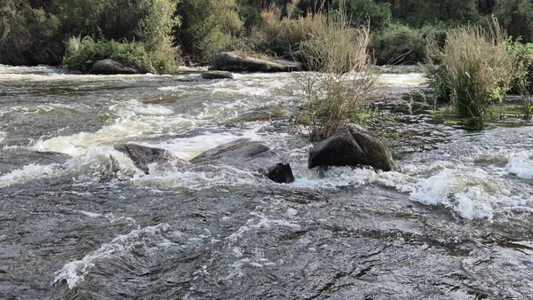 Jandula Nehri Doğal Alanı, Andujar - 2025