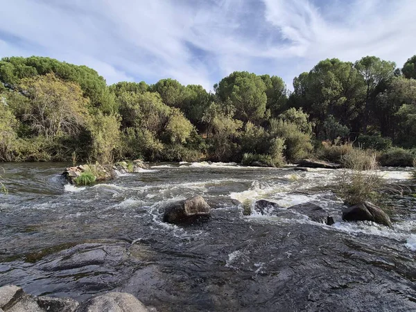 Jandula Nehri Doğal Alanı, Andujar - 2025
