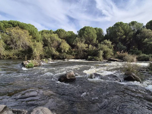 Jandula Nehri Doğal Alanı, Andujar - 2025