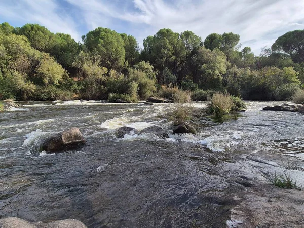 Jandula Nehri Doğal Alanı, Andujar - 2025