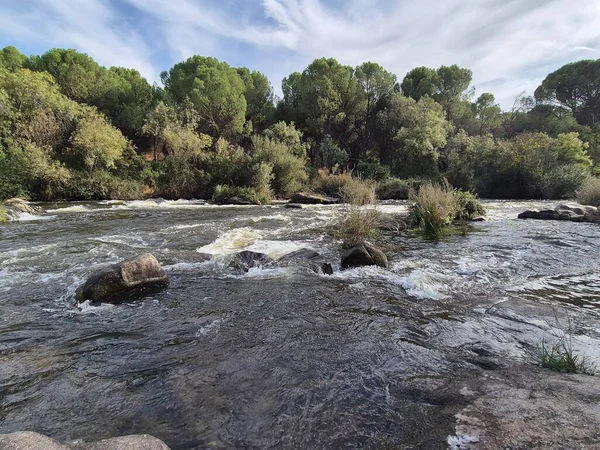 Jandula Nehri Doğal Alanı, Andujar - 2025