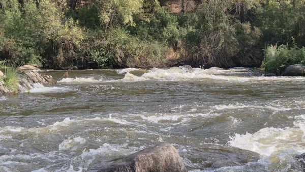 Jandula Nehri Doğal Alanı, Andujar - 2025