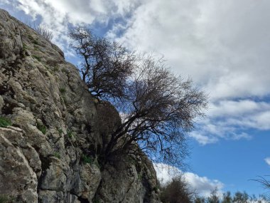 Şubat ayı boyunca doğa yürüyüşü