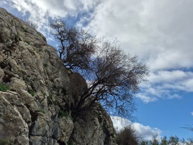 Şubat ayı boyunca doğa yürüyüşü