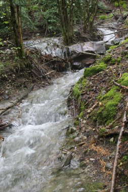 Canfranc İstasyonu etrafında yürüyüş rotası, Aragonese Pireneleri