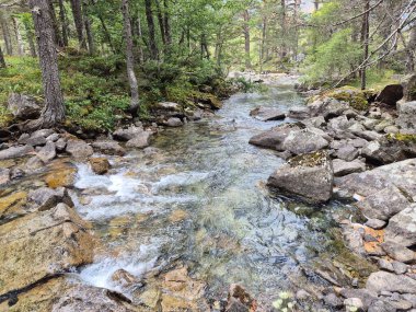 Lac de Gaube ve Pont D 'espagne, Cauterets' e yürüyüş rotası