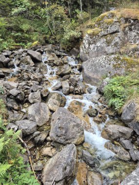 Lac de Gaube ve Pont D 'espagne, Cauterets' e yürüyüş rotası