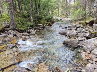 Lac de Gaube ve Pont D 'espagne, Cauterets' e yürüyüş rotası