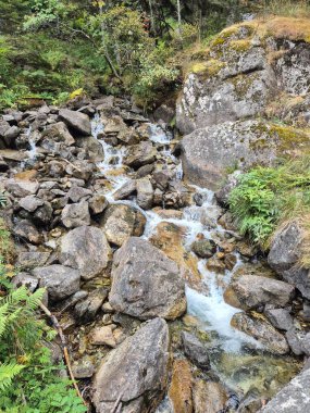 Lac de Gaube ve Pont D 'espagne, Cauterets' e yürüyüş rotası