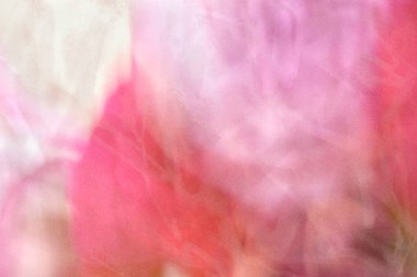 Zarif lüks, bulanık, pembe bir arka plan. Yumuşak dumanlı pembe arkaplan ve pürüzsüz bir değişim. Soyut, romantik, şiirsel el boyanmış doku. Nazik bir ışık. Atmosferik duvar sanatı. Tatlı pastel..