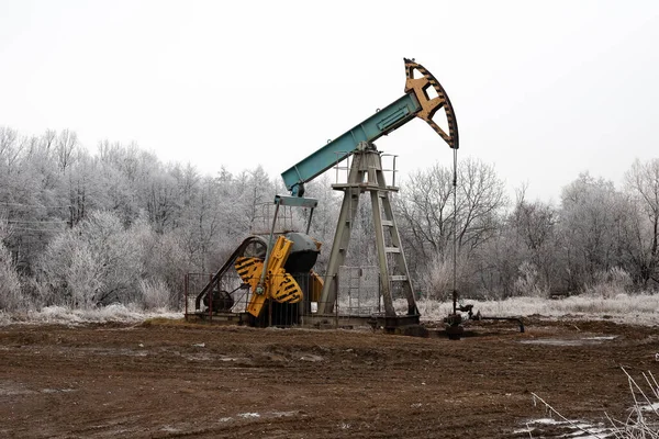 Operasyon sırasında yağ sallanan sandalye. Ormanda bir yerde..