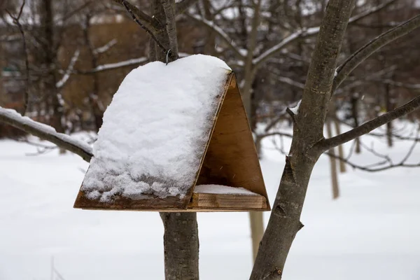 Kuş besleyicisi kışın ağaca asılır. Karla kaplı..