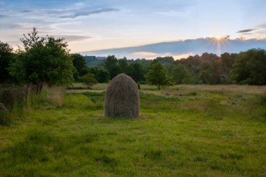 Sahada bir saman yığını var. Yeşil çimlerin arka planında.