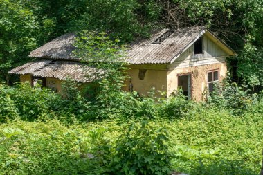 Ormanda terk edilmiş eski bir ev. Yeşil çalılar ve ağaçlarla çevrili..
