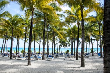 Playa del Carmen Meksika Yucatan 4 Palms Beach