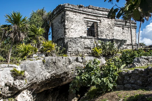 Meksika yucatan Tulum maya tapınak kalıntıları