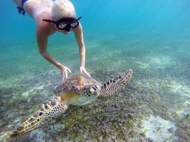 Meksikalı deniz kaplumbağası sualtı Yüzme kızla