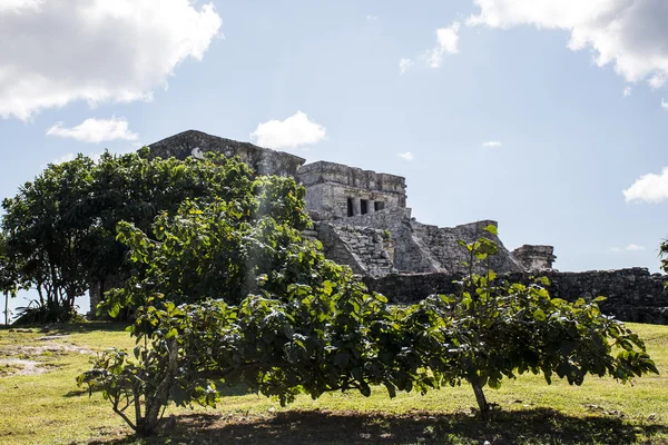 Mexikói yucatan Tulum maja romjai templom 3 — Stock Fotó