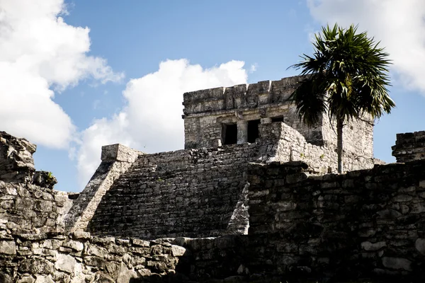 Mexikói yucatan Tulum maja romjai templom 4 — Stock Fotó