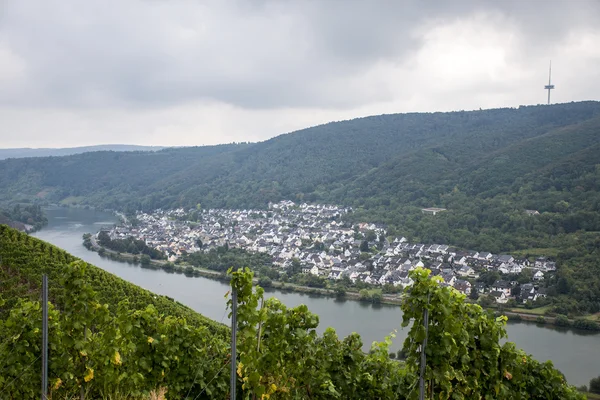 Famosa região vinícola alemã Moselle River Winningen — Fotografia de Stock