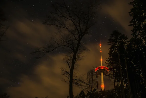 숲에서 코블렌츠 시 독일 라디오 타워 — 스톡 사진