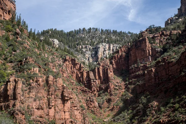 Borda do Grand Canyon National Park Usa norte 6 — Fotografia de Stock