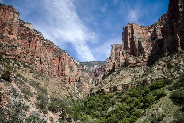 Parque Nacional del Gran Cañón Estados Unidos 12 — Foto de Stock