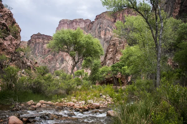 Grand Canyon National Park EUA 16 — Fotografia de Stock