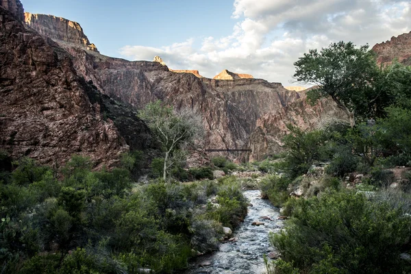 Grand Canyon National Park Usa 17 — Stockfoto